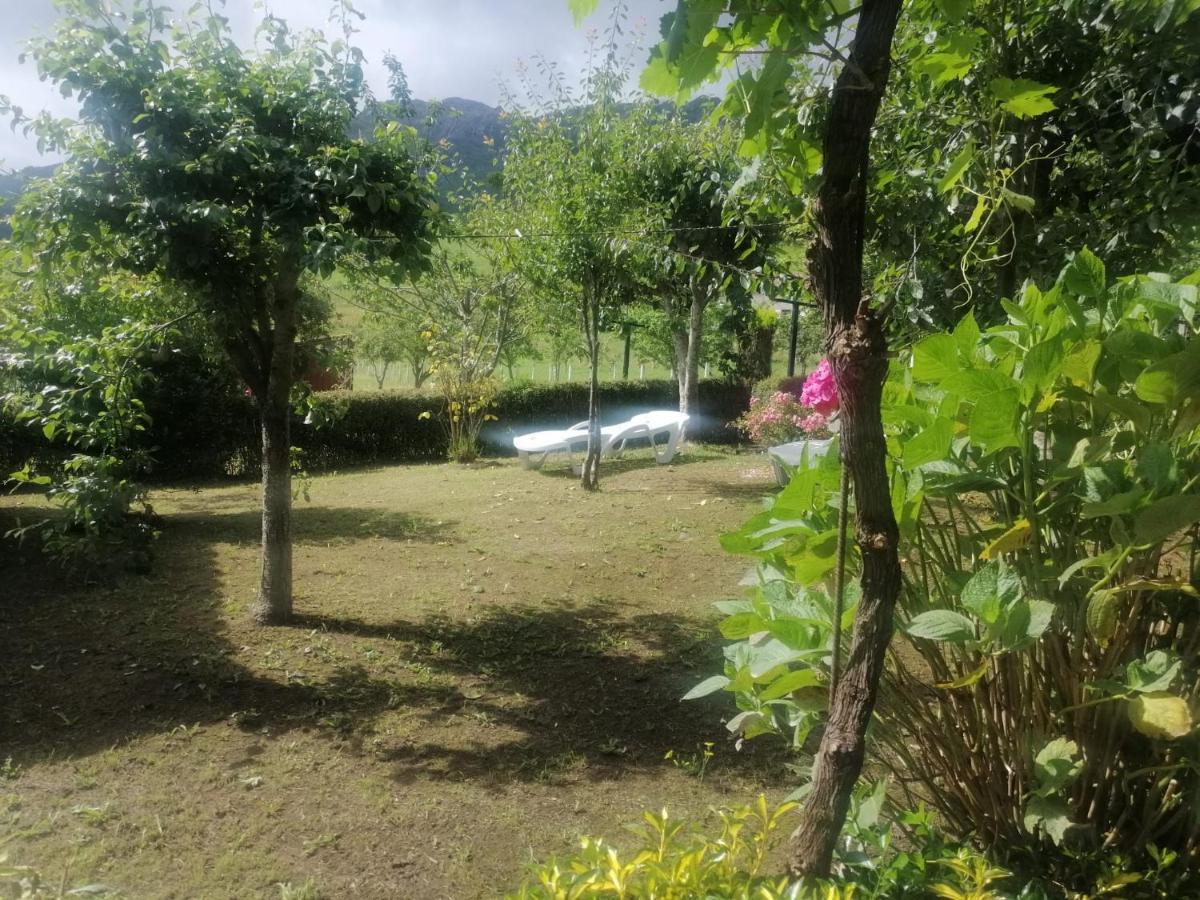 Apartamentos Casa Rural La Quintana Inguanzo Arenas De Cabrales Zewnętrze zdjęcie